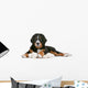 Bernese Mountain Dog Puppy Wall Decal