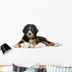 Bernese Mountain Dog Puppy Wall Decal