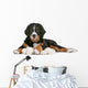 Bernese Mountain Dog Puppy Wall Decal