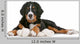 Bernese Mountain Dog Puppy Wall Decal