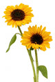 Sunflowers Wall Decal