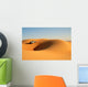 desert abu dhabi Wall Mural