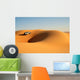 desert abu dhabi Wall Mural