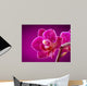 mini orchid on pink background Wall Mural