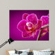 mini orchid on pink background Wall Mural