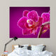 mini orchid on pink background Wall Mural