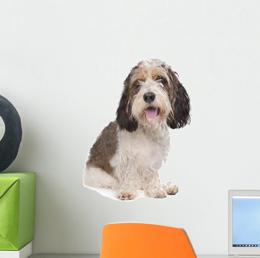 Basset Griffon Vendeen