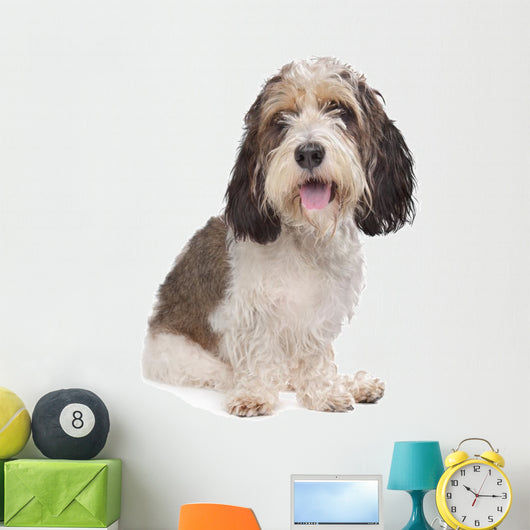 Basset Griffon Vendeen