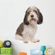 Basset Griffon Vendeen