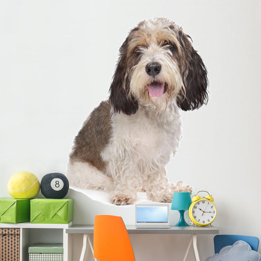 Basset Griffon Vendeen