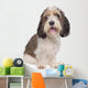 Basset Griffon Vendeen