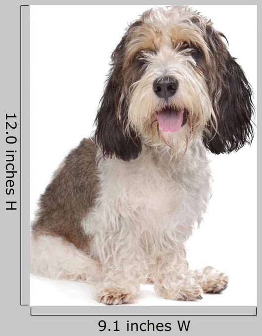 Basset Griffon Vendeen