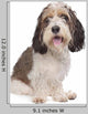 Basset Griffon Vendeen