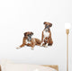 fawn Boxer dogs Wall Decal