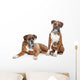 fawn Boxer dogs Wall Decal