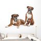 fawn Boxer dogs Wall Decal