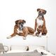 fawn Boxer dogs Wall Decal