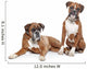 fawn Boxer dogs Wall Decal