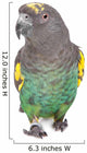 Meyer Parrot Wall Decal