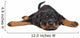 rottweiler puppy Wall Decal