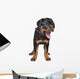 rottweiler puppy Wall Decal