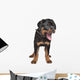 rottweiler puppy Wall Decal
