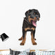 rottweiler puppy Wall Decal