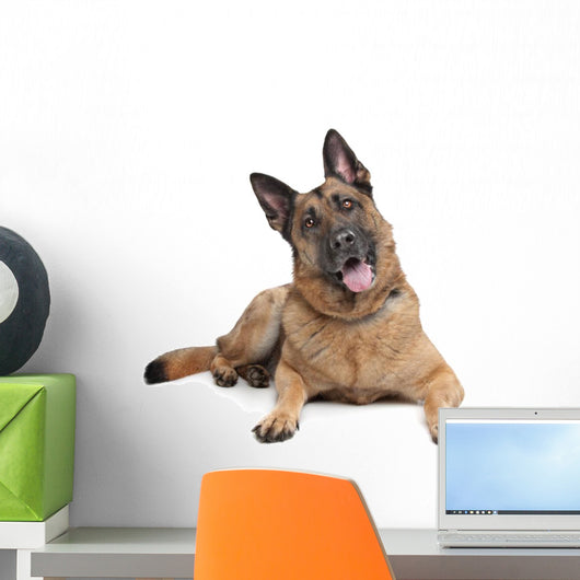 German Shepherd Wall Decal