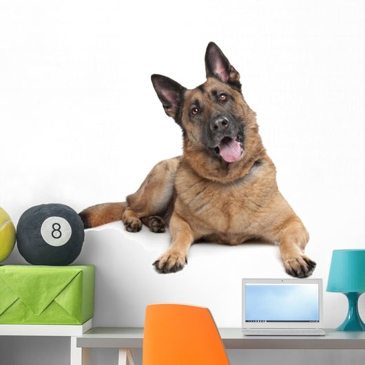 German Shepherd Wall Decal