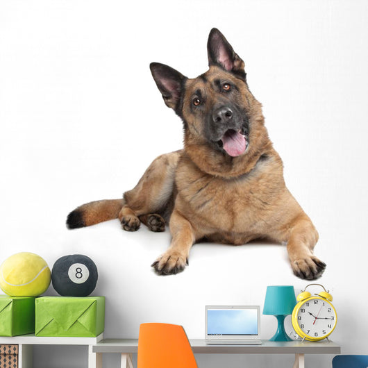 German Shepherd Wall Decal