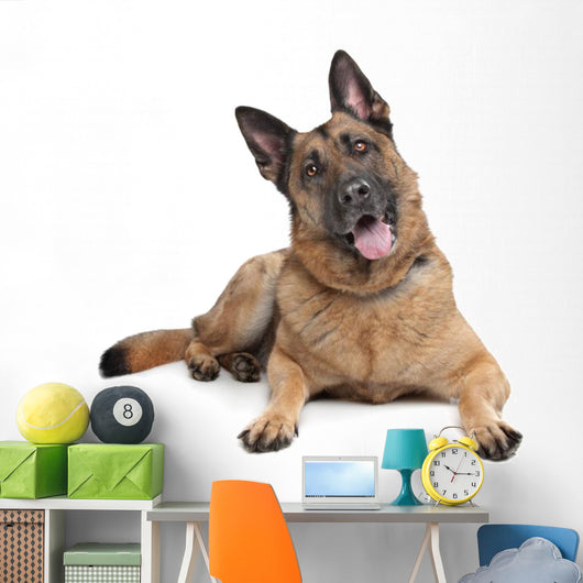 German Shepherd Wall Decal