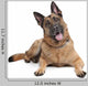 German Shepherd Wall Decal