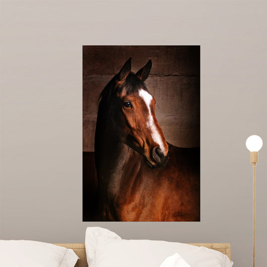 Course Wall Mural