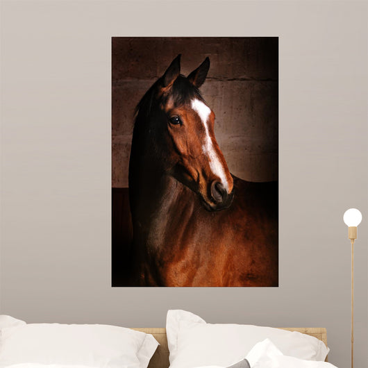 Course Wall Mural