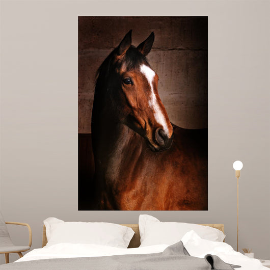 Course Wall Mural