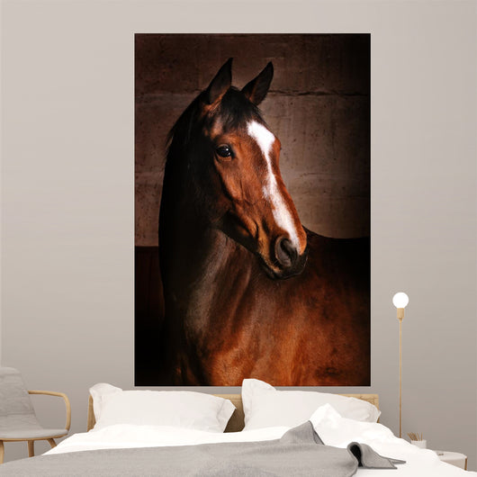 Course Wall Mural