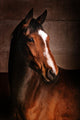 Course Wall Mural