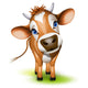 Little jersey cow Wall Decal