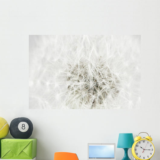Dandelion Seedhead White Wall Mural