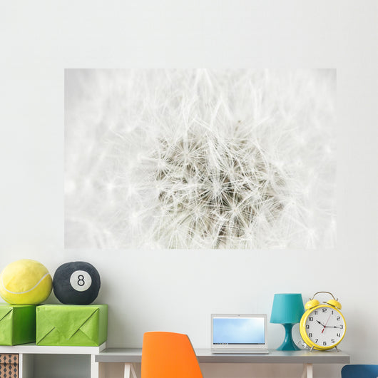 Dandelion Seedhead White Wall Mural
