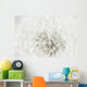 Dandelion Seedhead White Wall Mural