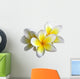 Frangipani Flower Wall Decal