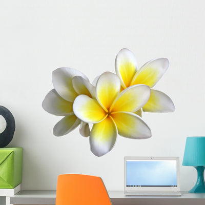Frangipani Plumeria Flower Wall Decal shown on a wall