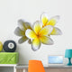 Frangipani Flower Wall Decal