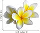 Frangipani Flower Wall Decal