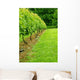 Vineyard Wall Decal