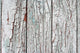 Old Wood And Paint Wall Mural
