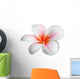 Fleur de frangipanier Wall Decal