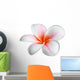 Fleur de frangipanier Wall Decal