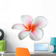 Fleur de frangipanier Wall Decal